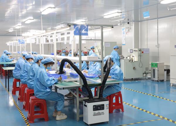 成人聲波電動牙刷供應商